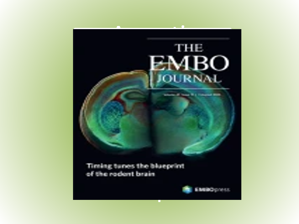Vps1 drives membrane constriction and fission necessary for endosomal protein sorting. 